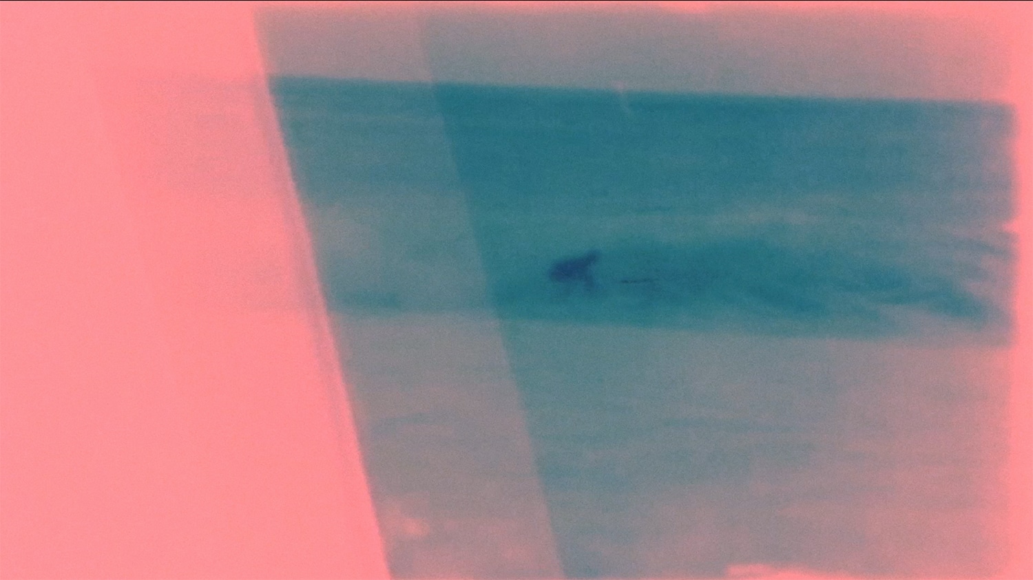 The Shorties entry: Sound on the Shore // A film by CJ Mirra. Shot on super8 capturing sonic highlights & heavy sessions from my perspective...Ft. Noah Lane