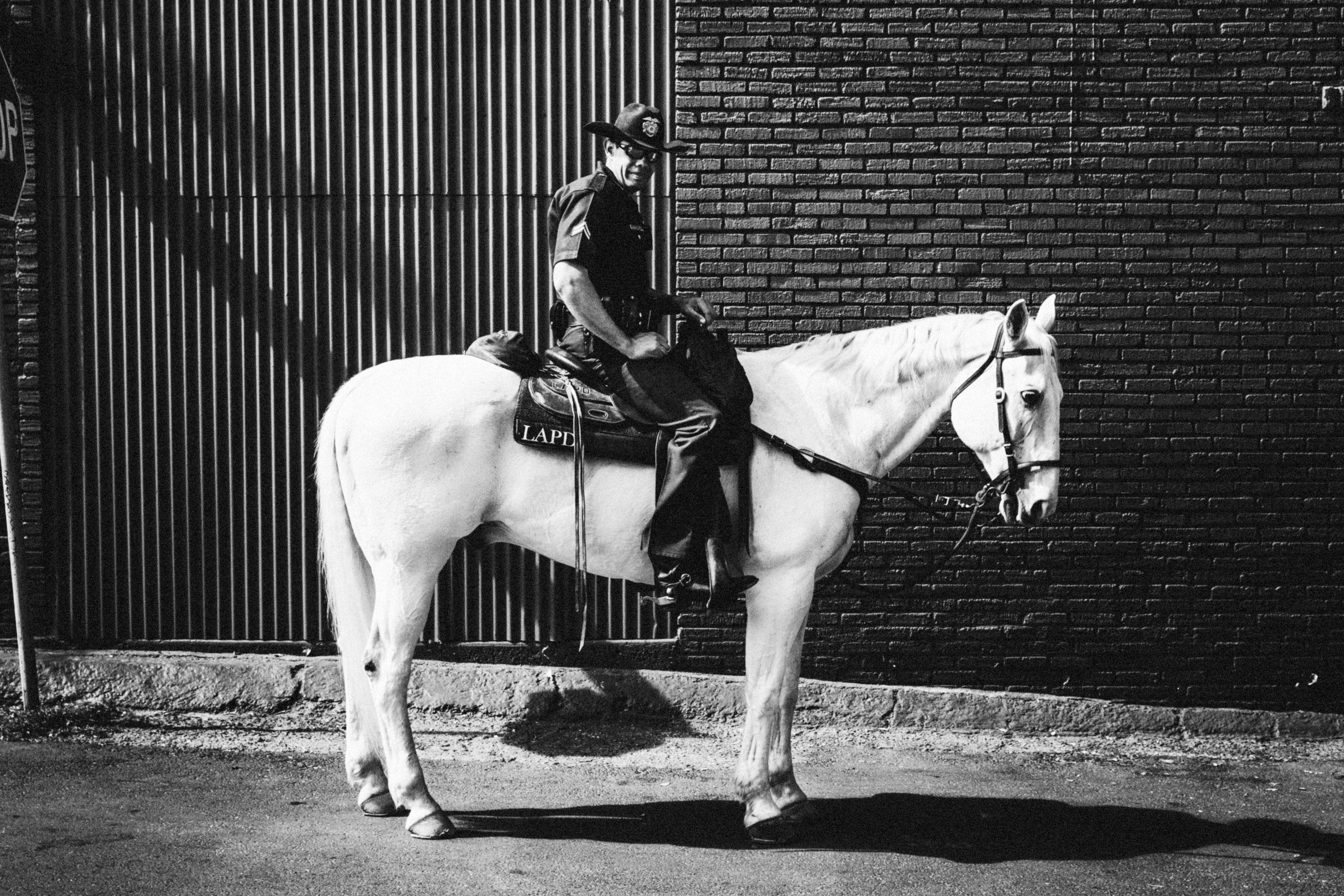 Cop on a horse - photography Owen Tozer